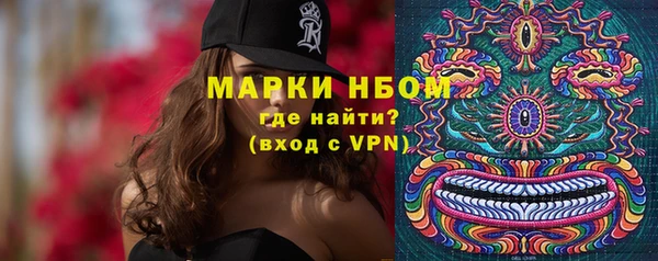 СК Белокуриха