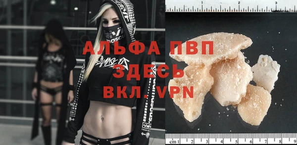 СК Белокуриха