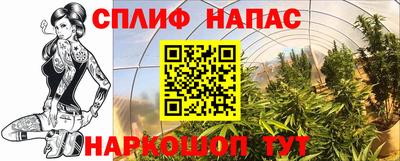 прущие крисы Кинель
