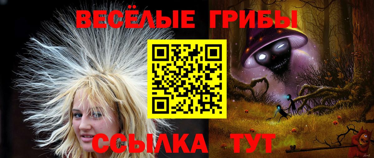 Псилоцибиновые грибы прущие грибы Луховицы